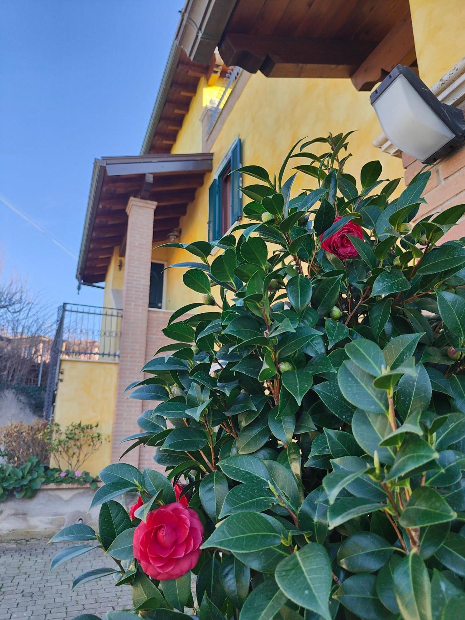 B&B Camera Delle Camelie Palestrina Kültér fotó
